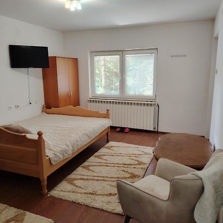 Vila Savinka Zlatibor Esterno foto