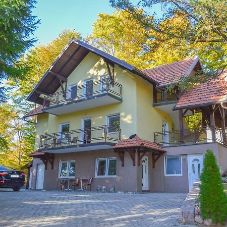 Vila Savinka Zlatibor Esterno foto
