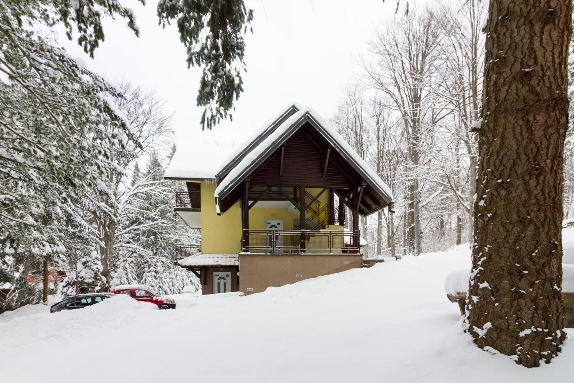 Vila Savinka Zlatibor Esterno foto