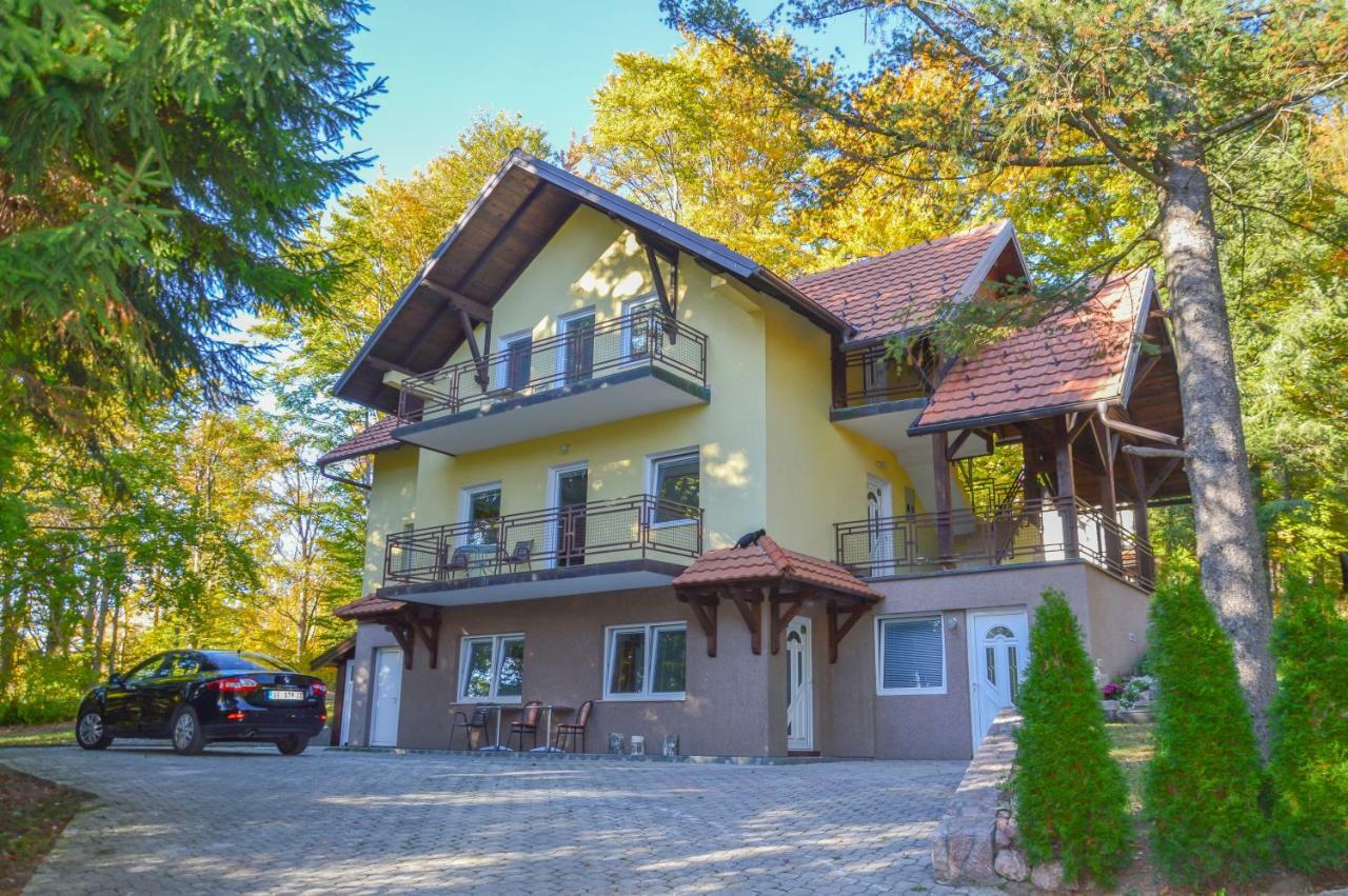 Vila Savinka Zlatibor Esterno foto