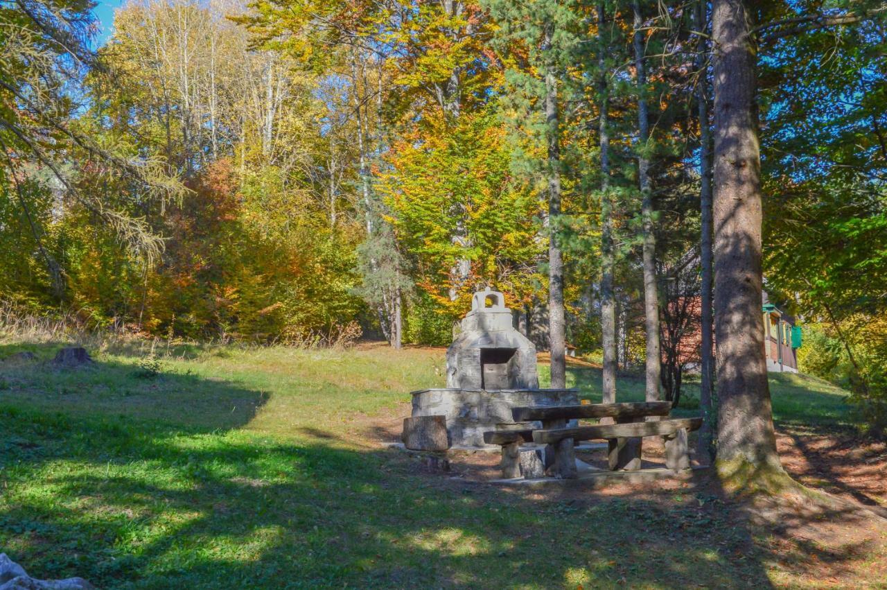 Vila Savinka Zlatibor Esterno foto