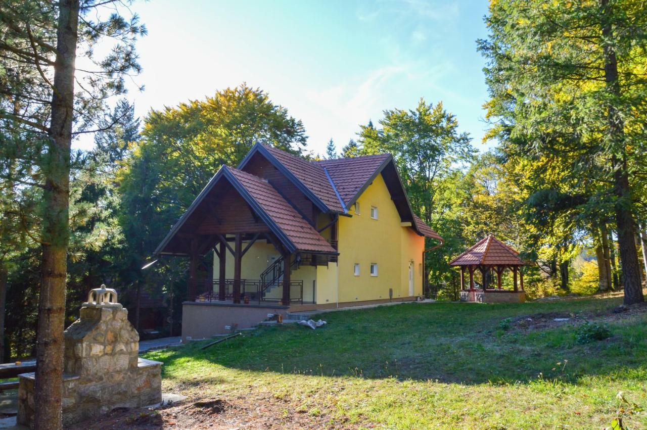 Vila Savinka Zlatibor Esterno foto